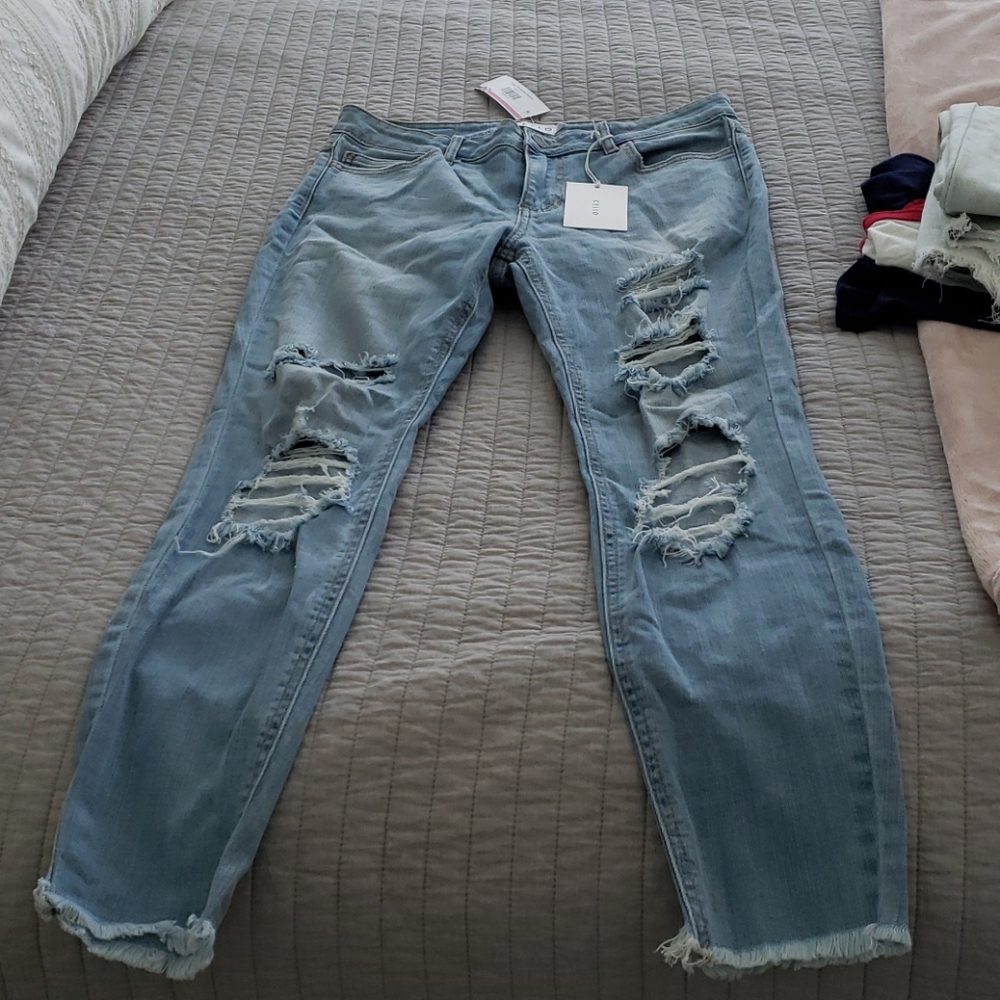 Cello distressed jeans
